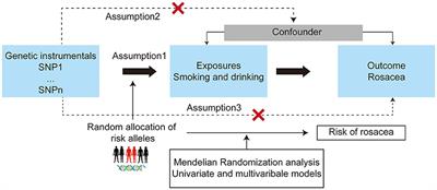 The impact of smoking and alcohol consumption on rosacea: a multivariable Mendelian randomization study